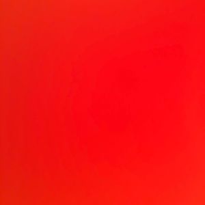 Meet your Posher, Larissa